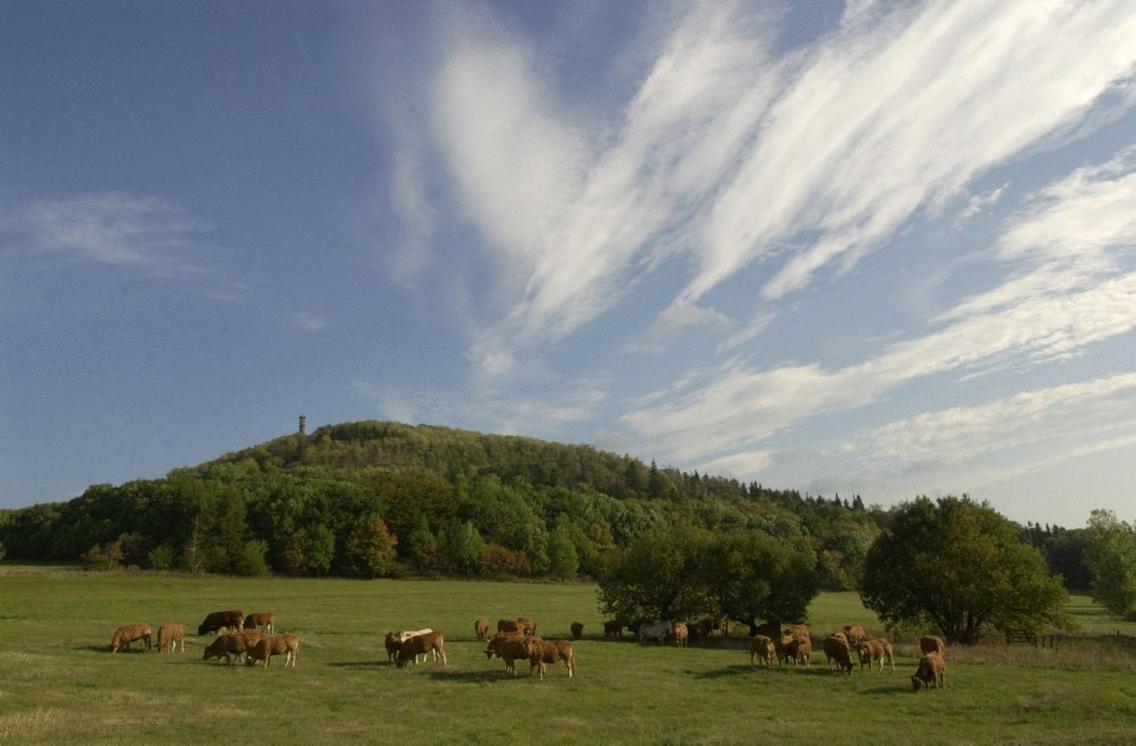 Waldhotel Am Aschergraben Geising Exteriör bild