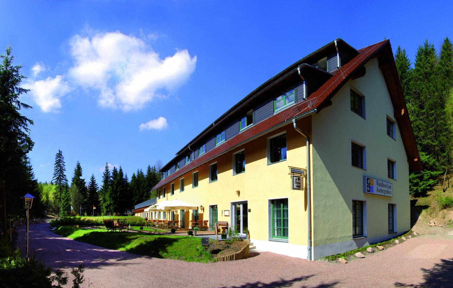 Waldhotel Am Aschergraben Geising Exteriör bild
